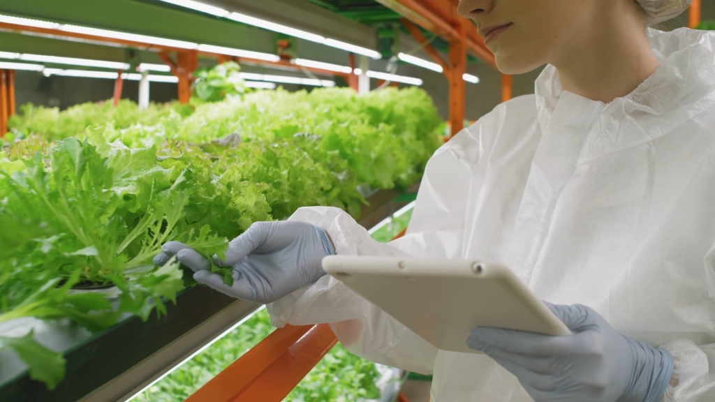 누보 기업 홍보영상