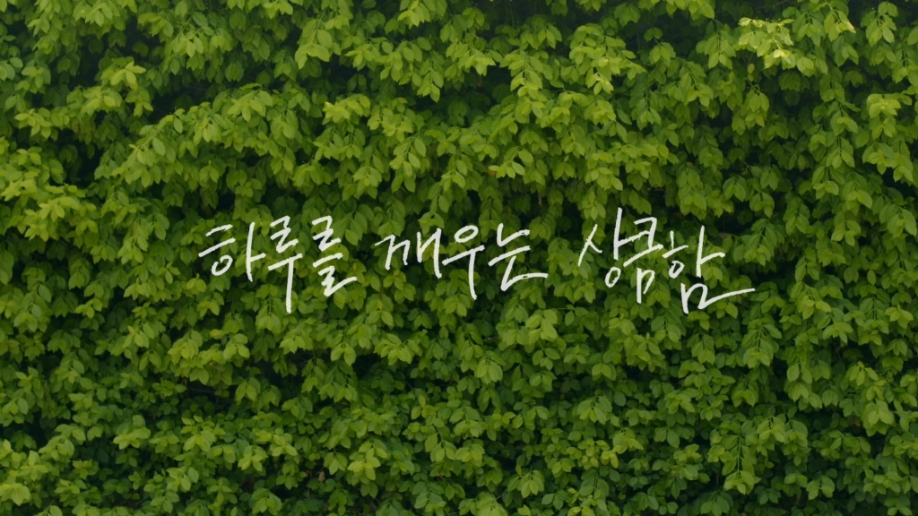 초로장생 브랜딩 영상 2차