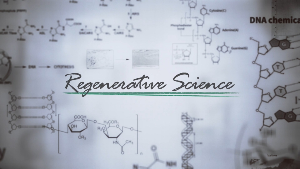 파마리서치 기업 홍보 홍보영상